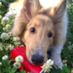 Meet your Posher, Joan